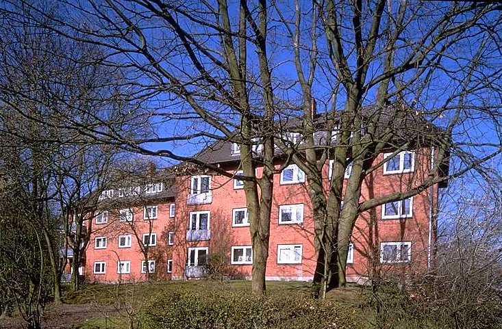 BLD_0540_04.jpg