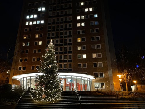 Weihnachtsbaum vor Gebäude