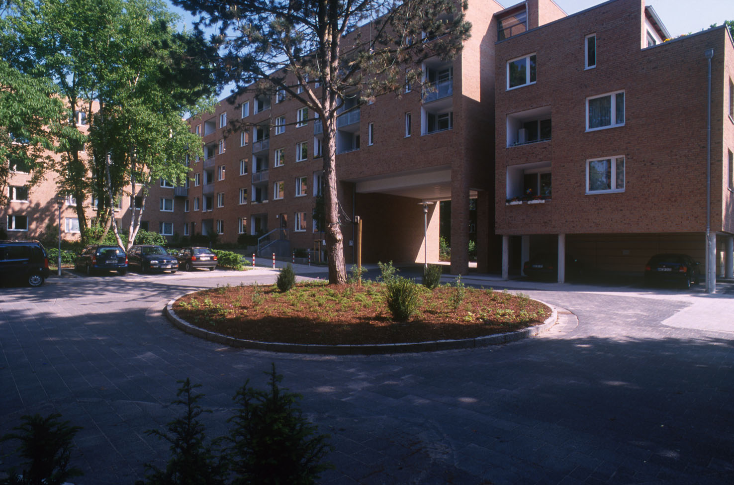 cd018_sur24-2-1.jpg